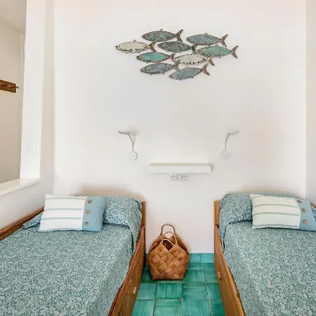 A Window To The Sea Apartment Nettuno
